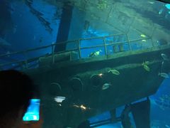 -福州罗源湾海洋世界旅游区