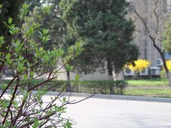 -辽宁大学(崇山校区)
