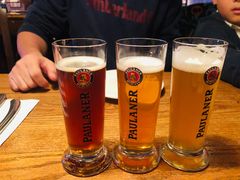 -宝莱纳啤酒花园餐厅PAULANER BRAUHAUS Nanjing(广州路店)