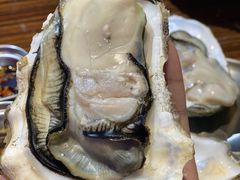 -蚝堡海鲜·威海菜·海肠捞饭·烧烤·亚洲吃蚝公司(幸福门店)