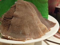 脆毛肚-九鼎轩脆毛肚火锅(三钢里店)