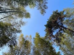 -潜山国家森林公园