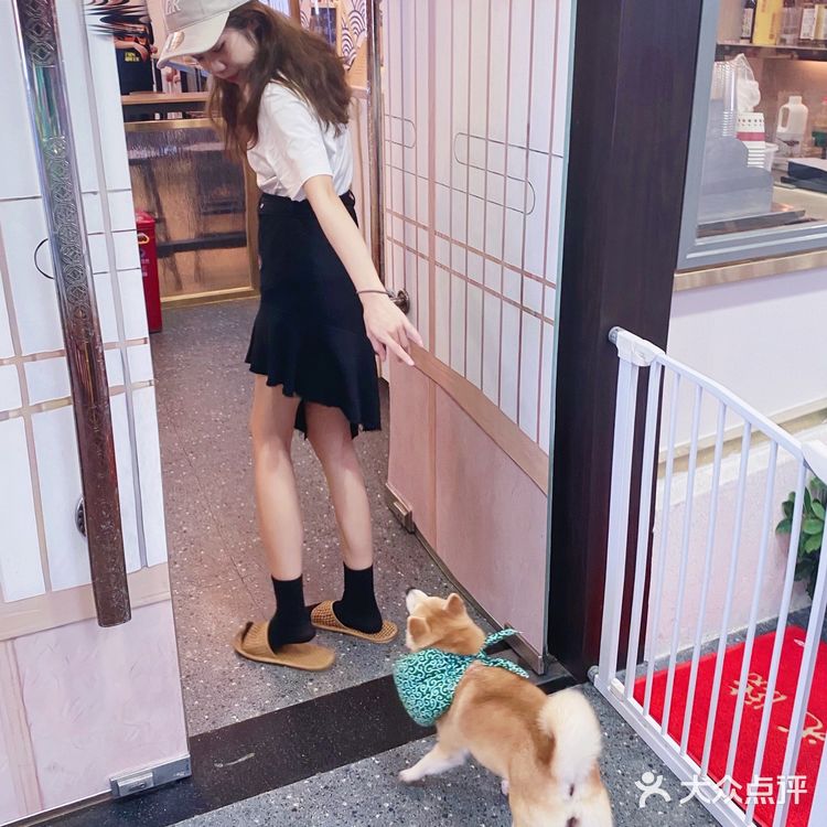 深圳必打卡|最萌汪柴趣狗咖大家快来撸！！