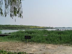 -西青郊野公园