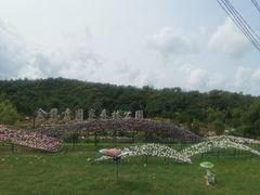 -大连金龙寺国家森林公园-售票处