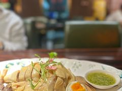 白切鸡-粤·向群饭店(麓景路店)