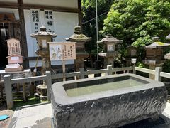 -奈良公园