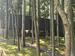 -玉苍山国家森林公园