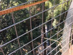 -大余丫山旅游度假区