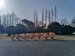 -上海长兴岛郊野公园