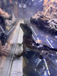 -Zoolung Zoolung动物主题公园(海信广场店)