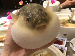 -肆月河豚·新淮扬(金融街店)