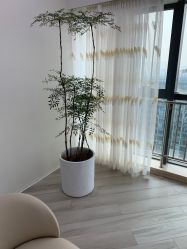 -HEYAN荷妍专业脱毛连锁机构