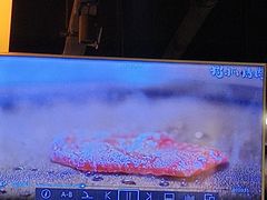 -猫抓烤肉(春熙路店)