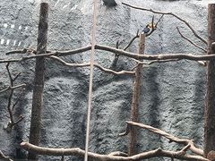 -武汉动物园