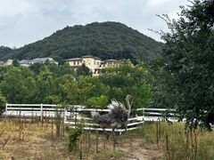 -宁波九龙湖开元度假村