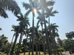-中国科学院西双版纳热带植物园