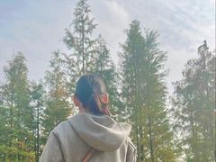 -白鹭湾湿地公园