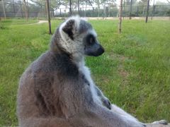 android_upload_pic-石家庄市动物园