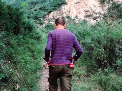 -终南山国家森林公园