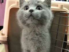 -宠颐生中康贝怡动物医院