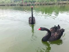 -鄱阳湖国家湿地公园