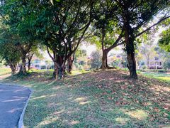 -麓湖高尔夫球俱乐部