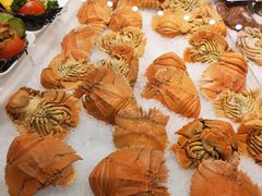 -悉尼鱼市场