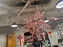 -时尚殿堂明星门店