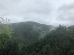 -小锅巴纳西餐厅