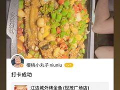 -江边城外烤全鱼(世茂广场店)