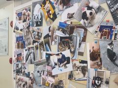 -芭比堂动物医院·24小时·眼科中心(深圳中心)