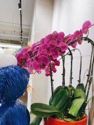 -变画·发型STUDIO