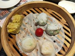 -新兴·金羊座·粤菜点心(乐峰店)