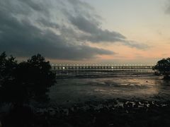 -宝安西湾红树林湿地公园