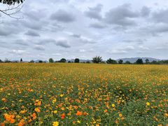 -良渚古城遗址公园