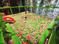 -奇幻丛林(佛罗伦萨小镇店)