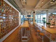 -猫的天空之城概念书店(北戴河蔚蓝海岸店)