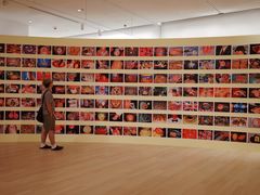 -深圳湾万象城(南山店)