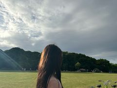 -昆山城市生态森林公园