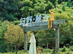 -北仑森林植物园