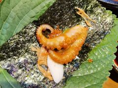 -红辣椒八爪鱼特色韩国料理