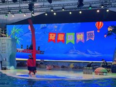 -三亚海昌梦幻海洋不夜城