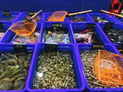 海鲜区-七鲜渔港美食餐厅(巽寮湾海景店)