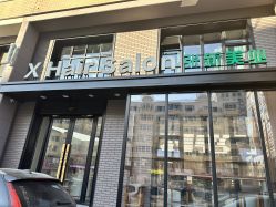 -Z.X HAIR SALON张新美业