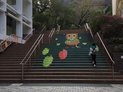 -香港大学