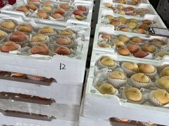 -江杨农产品批发市场