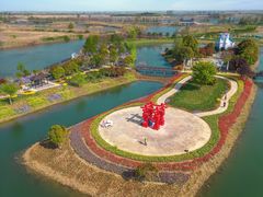 -泗洪洪泽湖湿地景区