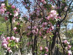 -崂山巨峰游览区