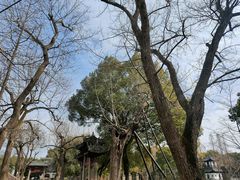 -上海大学(嘉定校区)